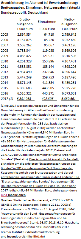 2019 02 04 ausgaben grundsicherung im alter und bei erwerbsminderung 2005 2017 aktualisiert