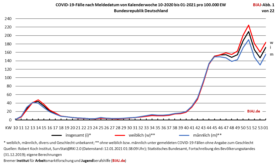 2021 01 13 biaj abb 1 von 22