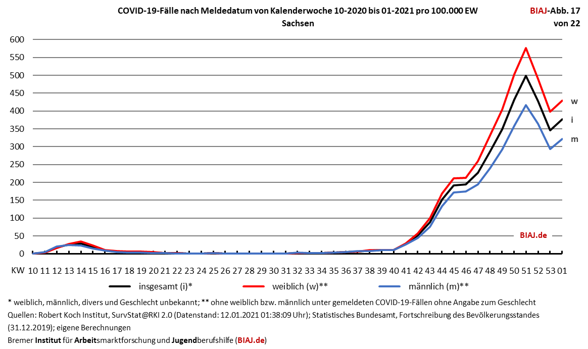 2021 01 13 biaj abb 17 von 22