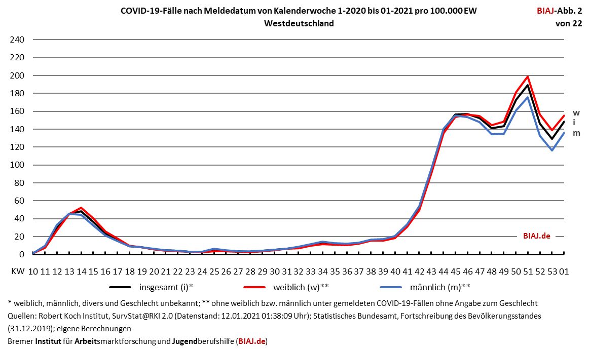 2021 01 13 biaj abb 2 von 22
