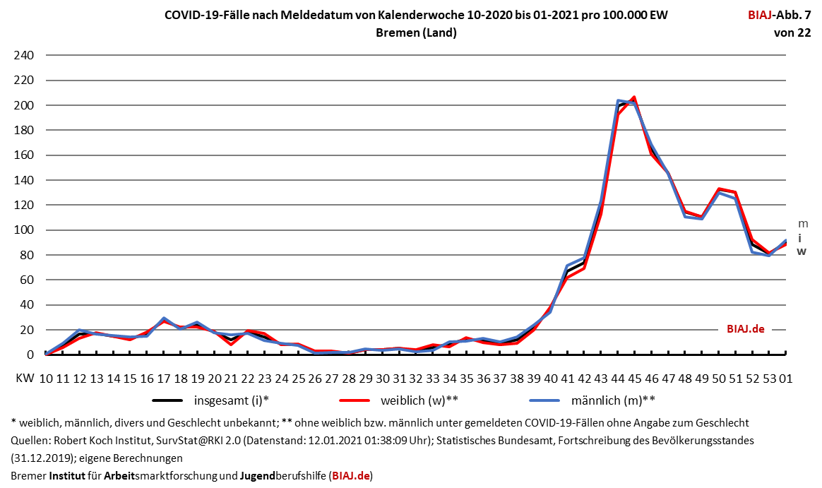 2021 01 13 biaj abb 7 von 22
