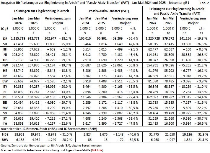2025 06 05 tabelle 2 auszug aus biaj materialien