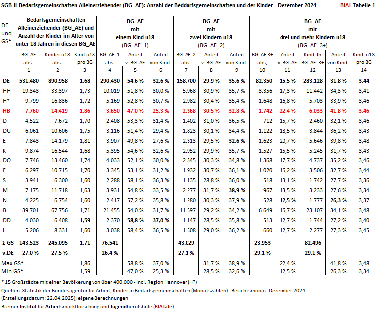 2025 06 14 sgb2 alleinerziehende biaj materialien tabelle 1