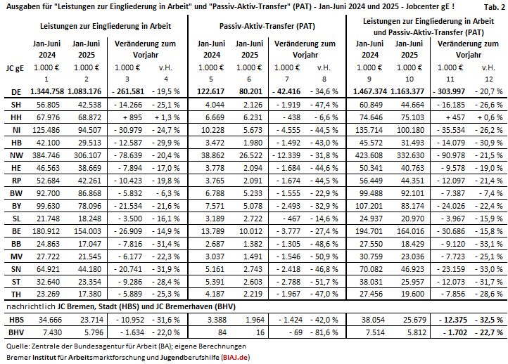 2025 07 04 tabelle 2 auszug aus biaj materialien
