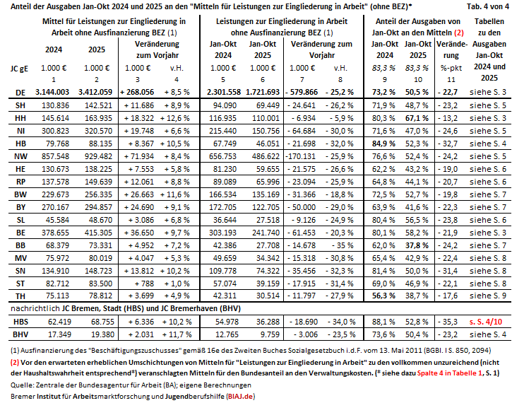 2025 11 10 tabelle 4 auszug aus biaj materialien